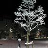 被災地に降った無情の雪…