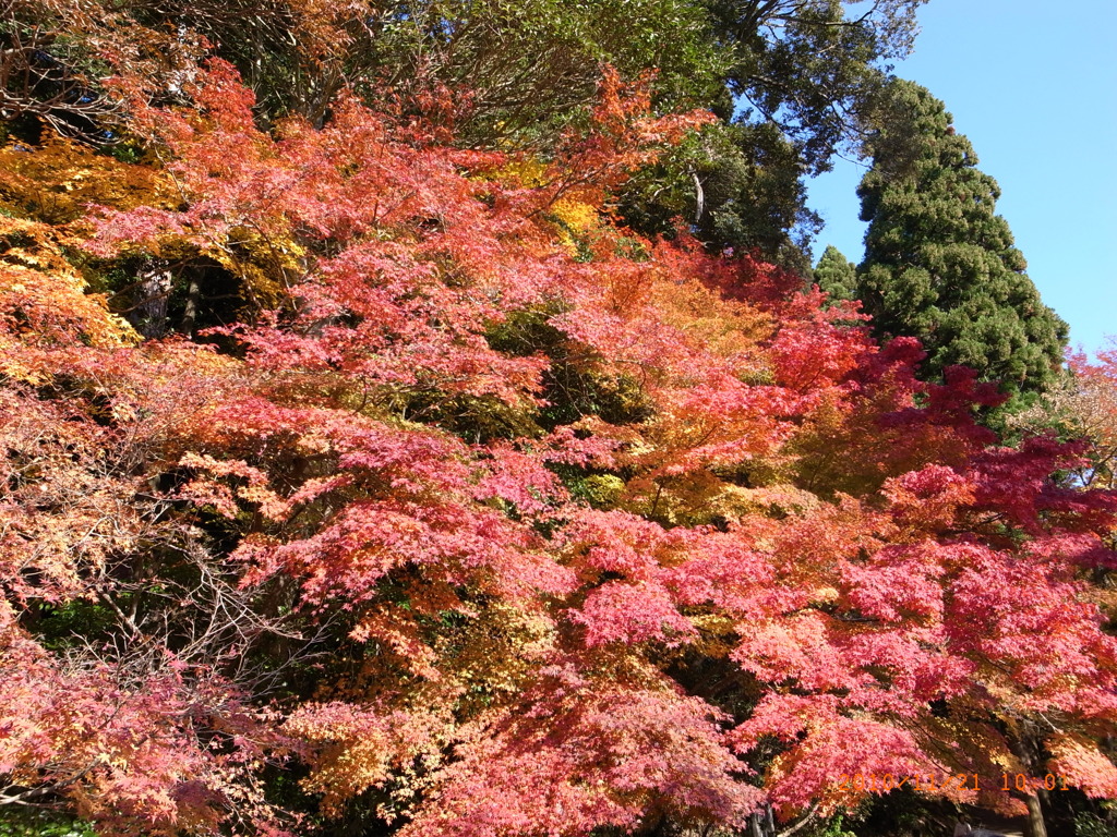 かわらけ投げの前に