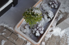 雪国　長野　野沢
