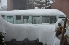 雪国　長野　野沢