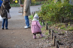 井の頭公園　冬