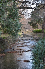 神田川　冬