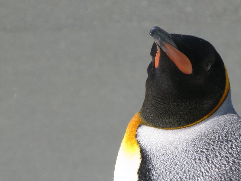 ＨＩ！