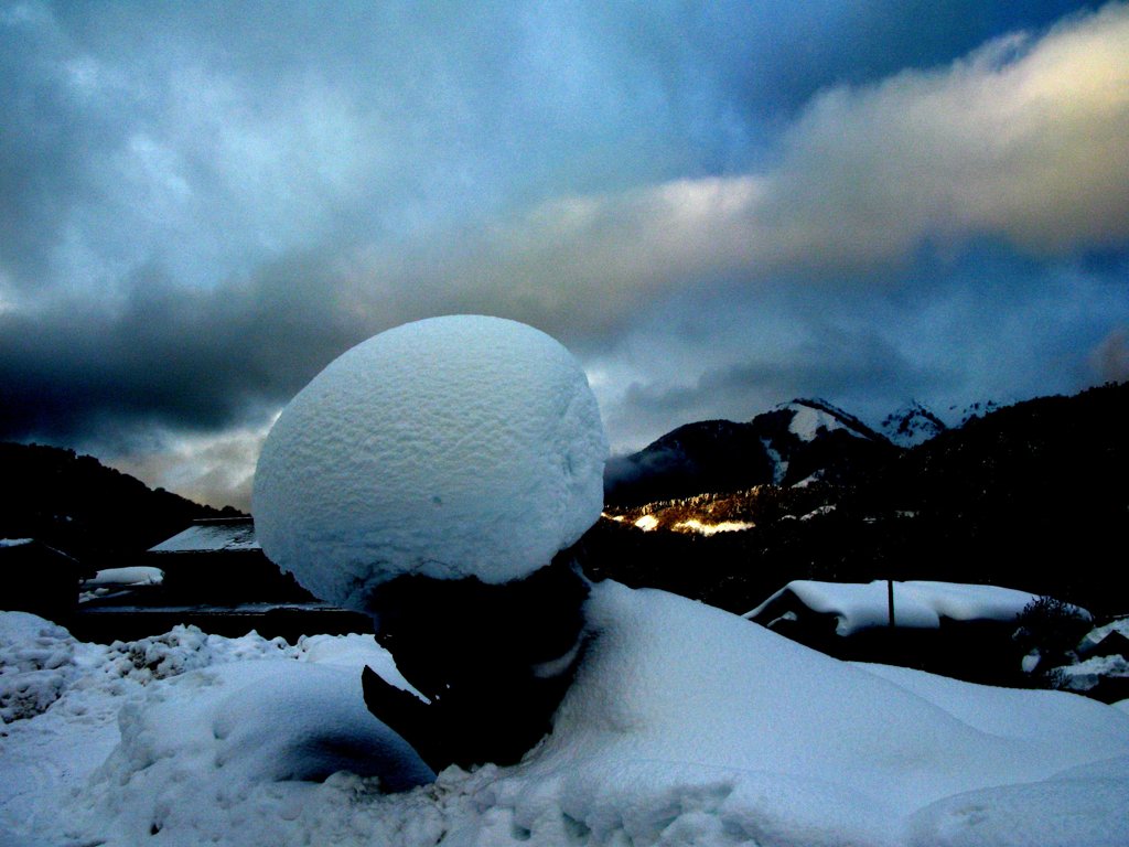 SNOW'S BEAUTY
