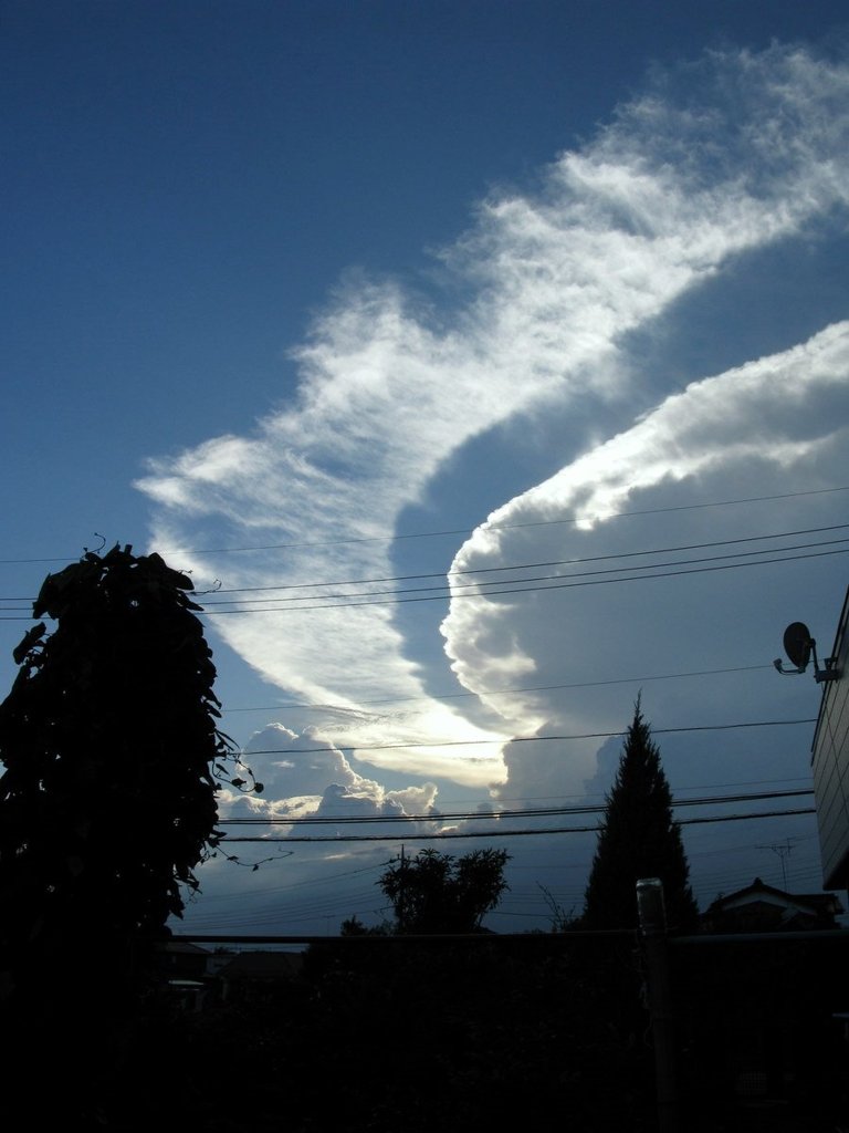 KUMO