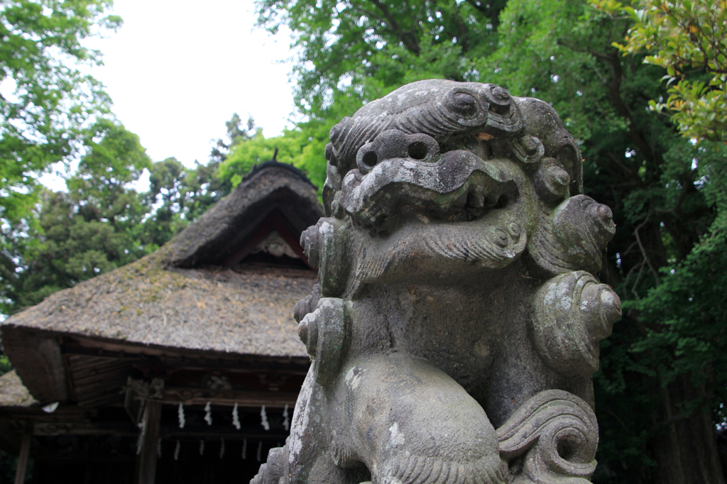 神楽殿と狛犬