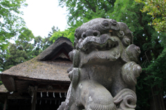 神楽殿と狛犬