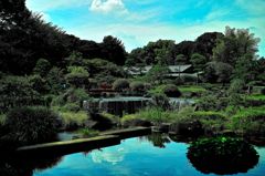 日本庭園やり過ぎ