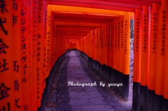 伏見稲荷　千本鳥居