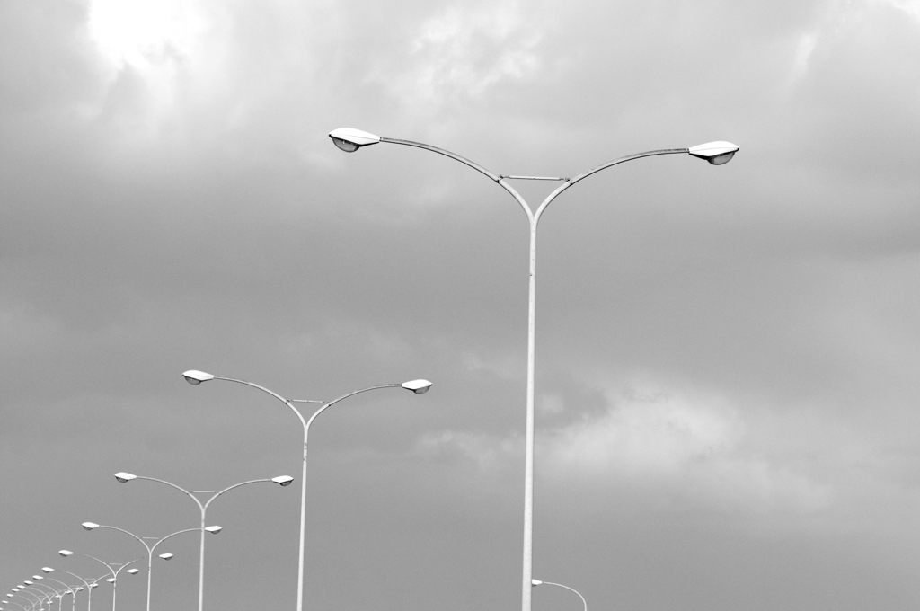 高速道路のカモメ