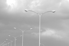 高速道路のカモメ