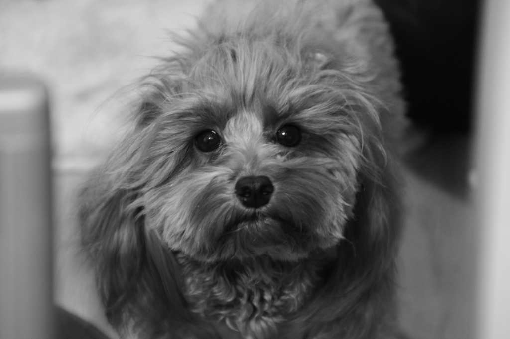 なにかをもとめてる？