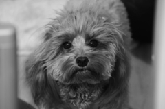 なにかをもとめてる？