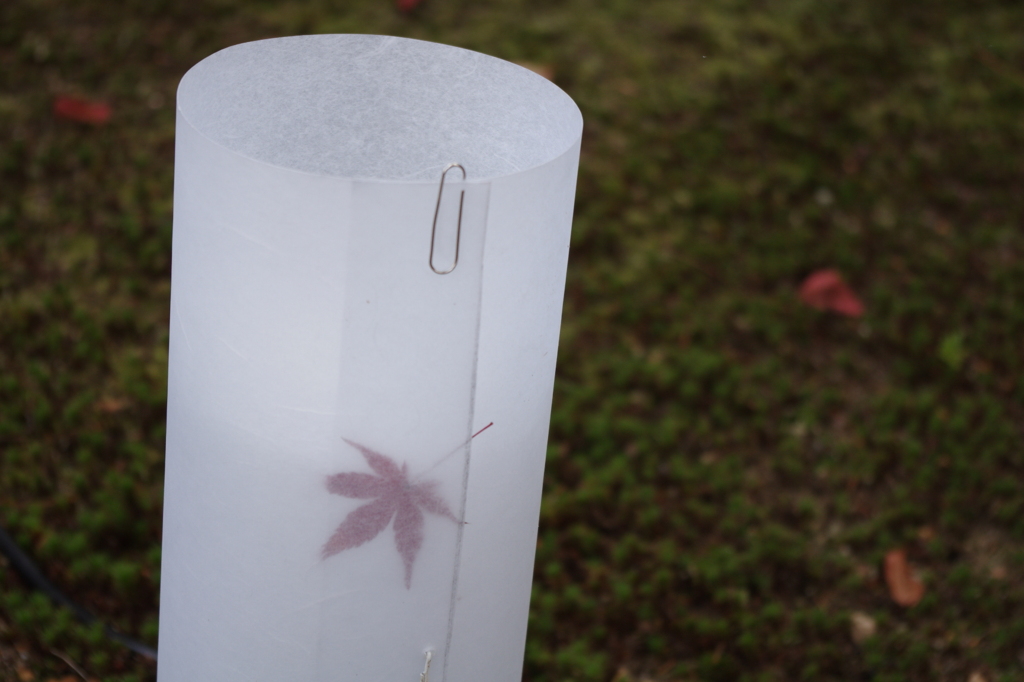 挟まっていた、、