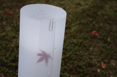 挟まっていた、、