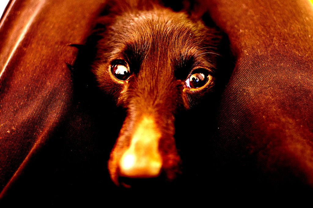 瞳の先に、、、