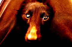 瞳の先に、、、