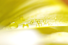 朝の日差し、、。