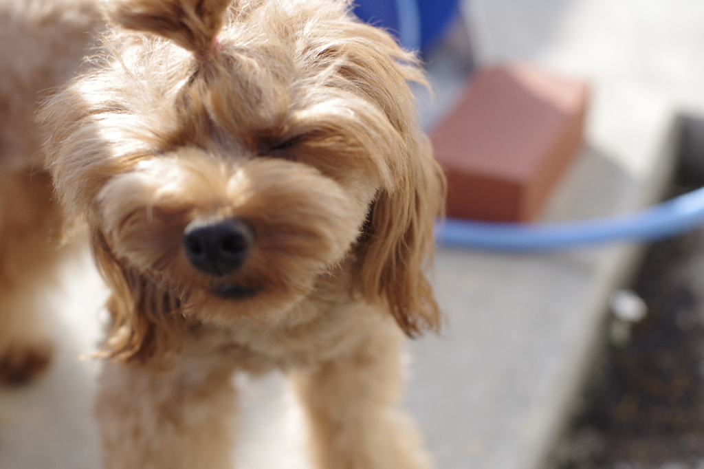 クシュンッ！！！