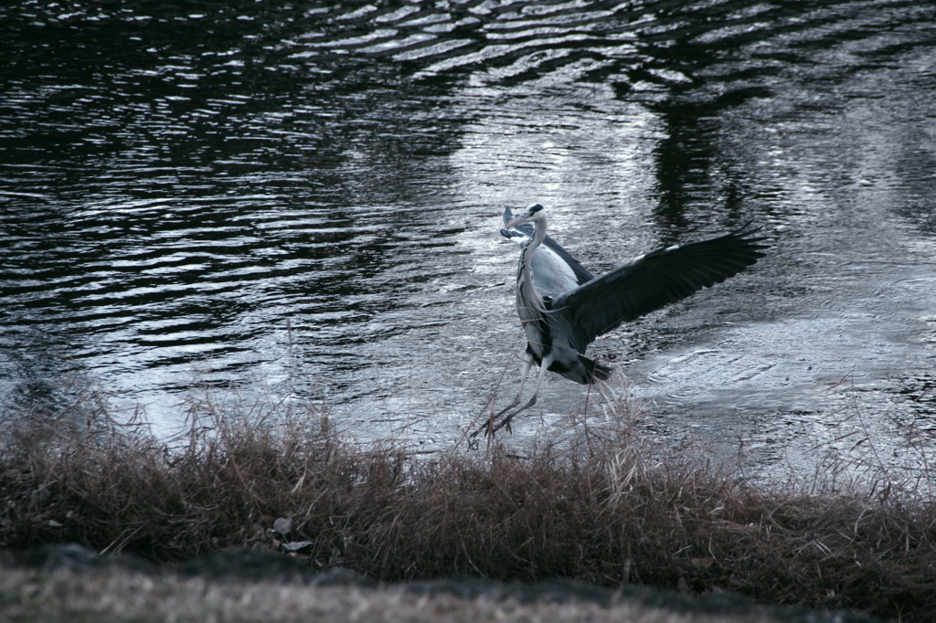 着地しますよ〜！