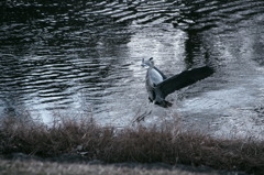 着地しますよ〜！