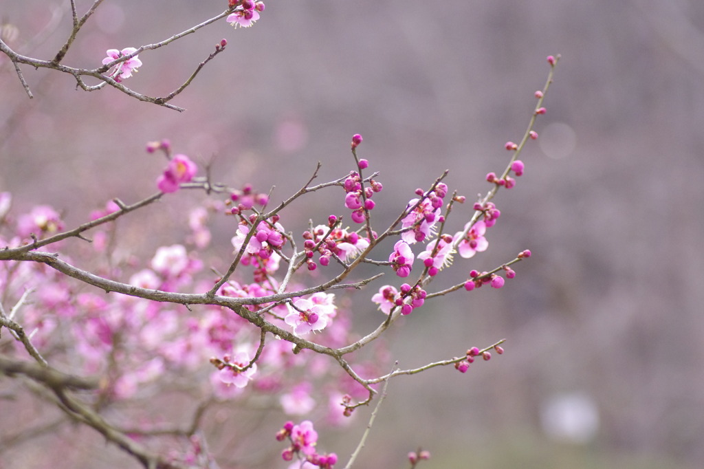 すぐそこ、、。