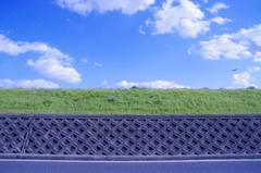 青と緑と人工物