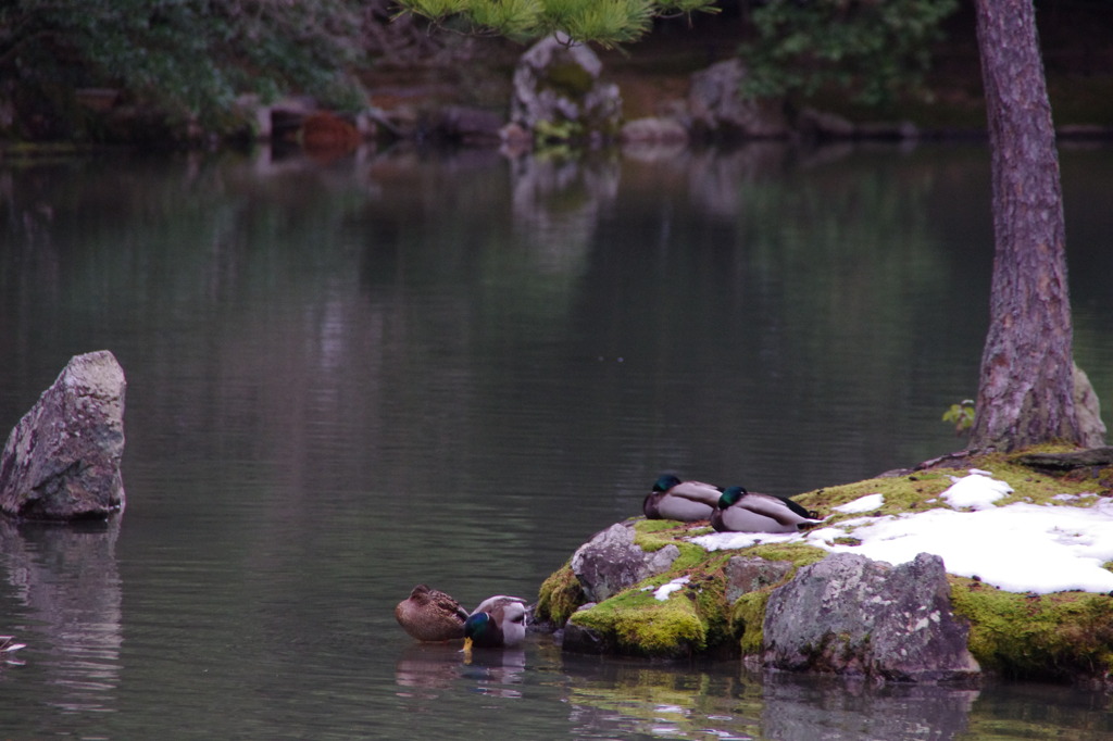 ここが好きなんです。