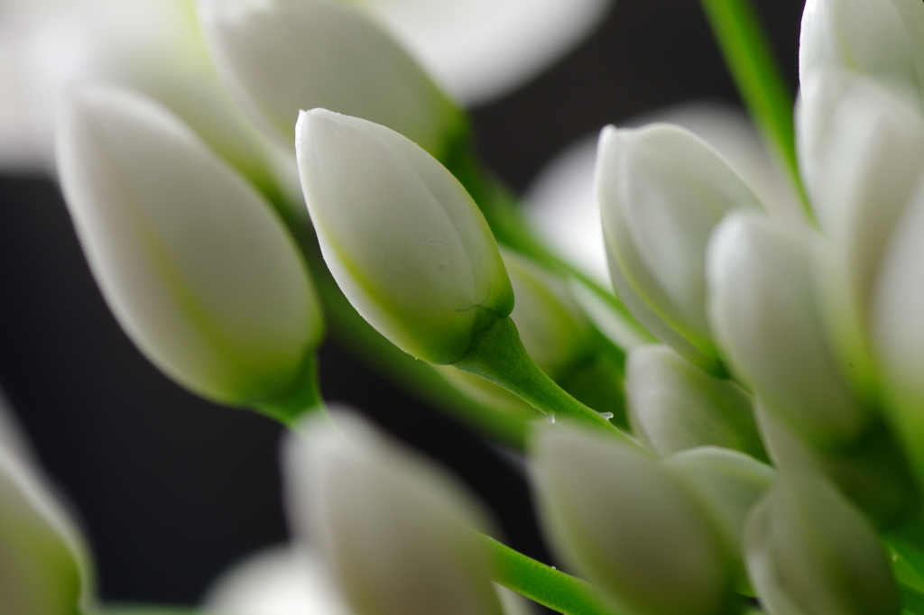 次はきっと僕のばん。