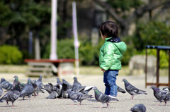 ハトと子供