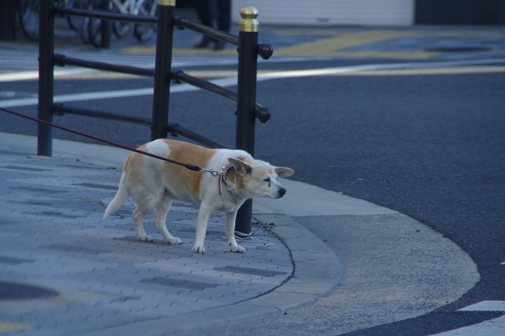 僕だってさむいもん、、。