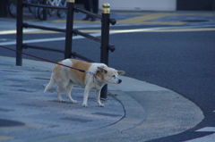 僕だってさむいもん、、。