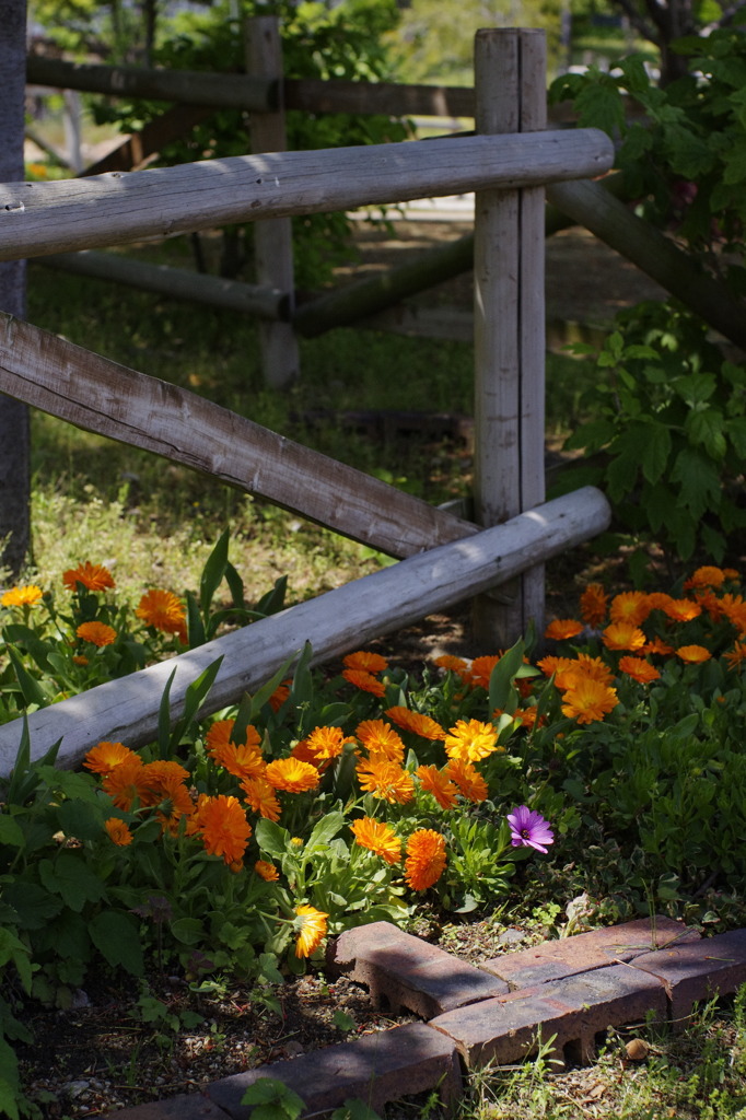 目に付いた風景