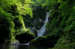 陰と陽