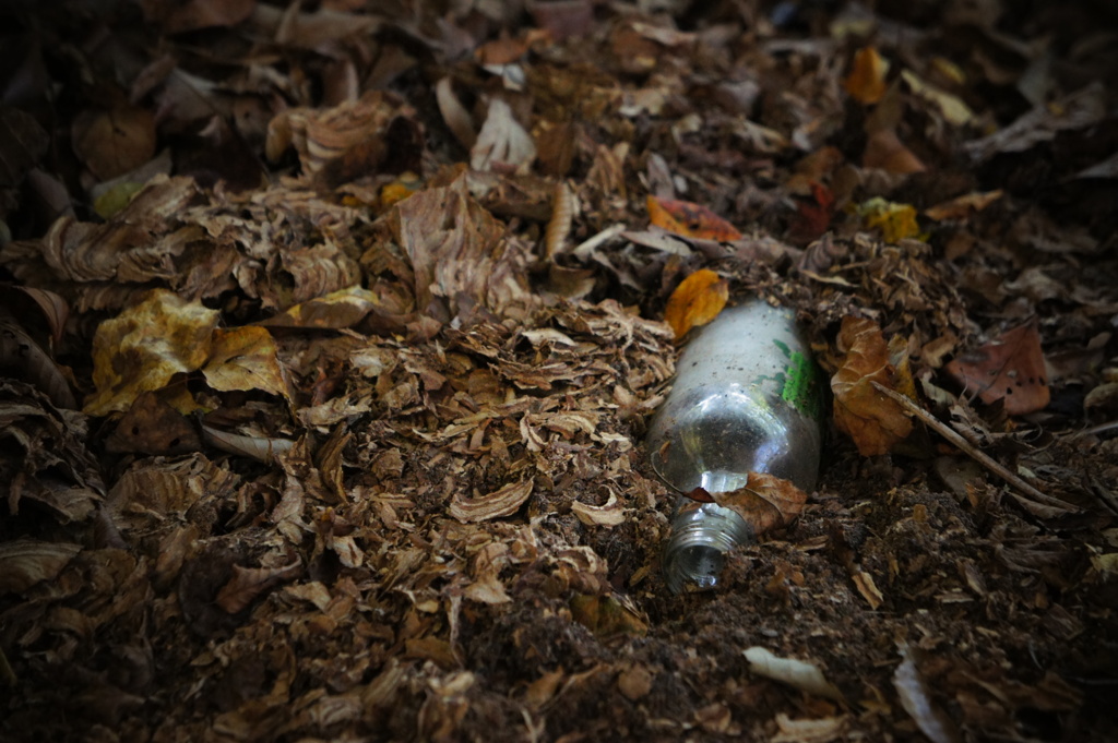 いつからそこに…？