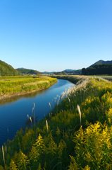 秋の流れ