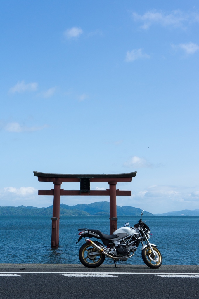 くぐりたい