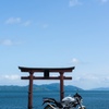 くぐりたい