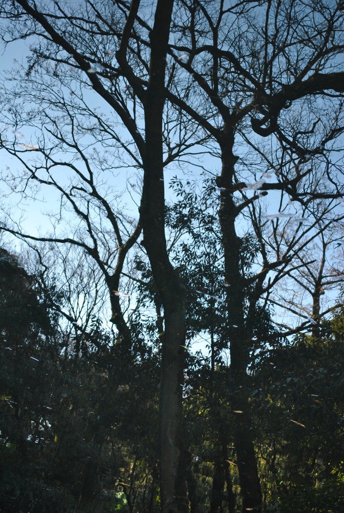 水面