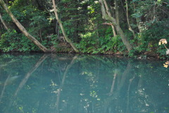 沼