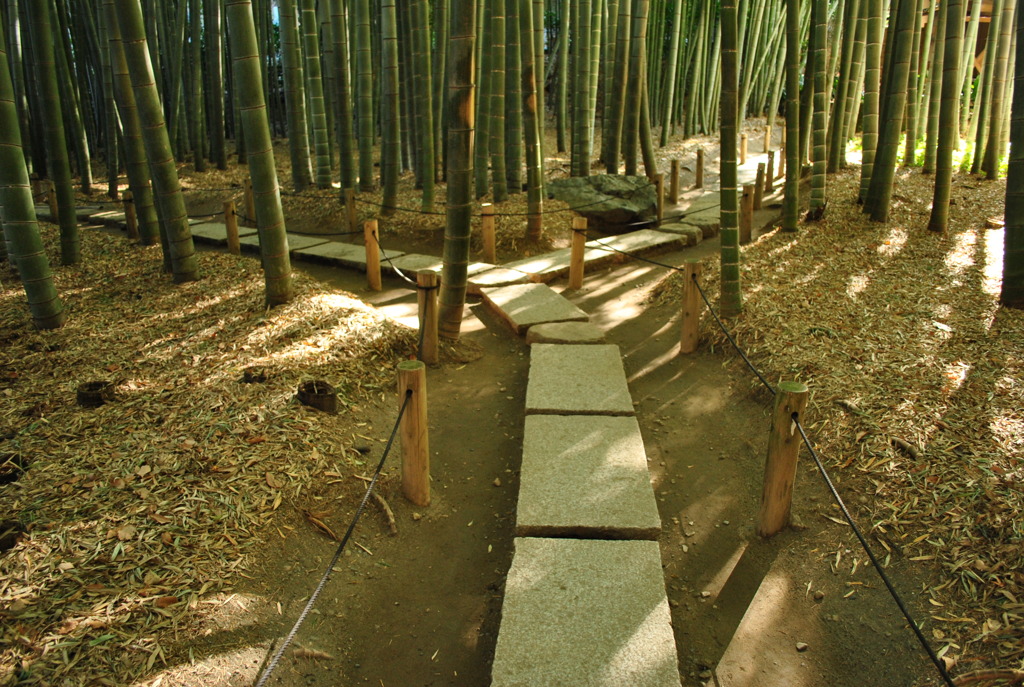 別れ道