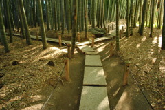 別れ道
