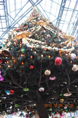 クリスマスツリーを下から見ると？