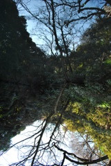 逆さ