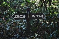 あなたならどちらへ?
