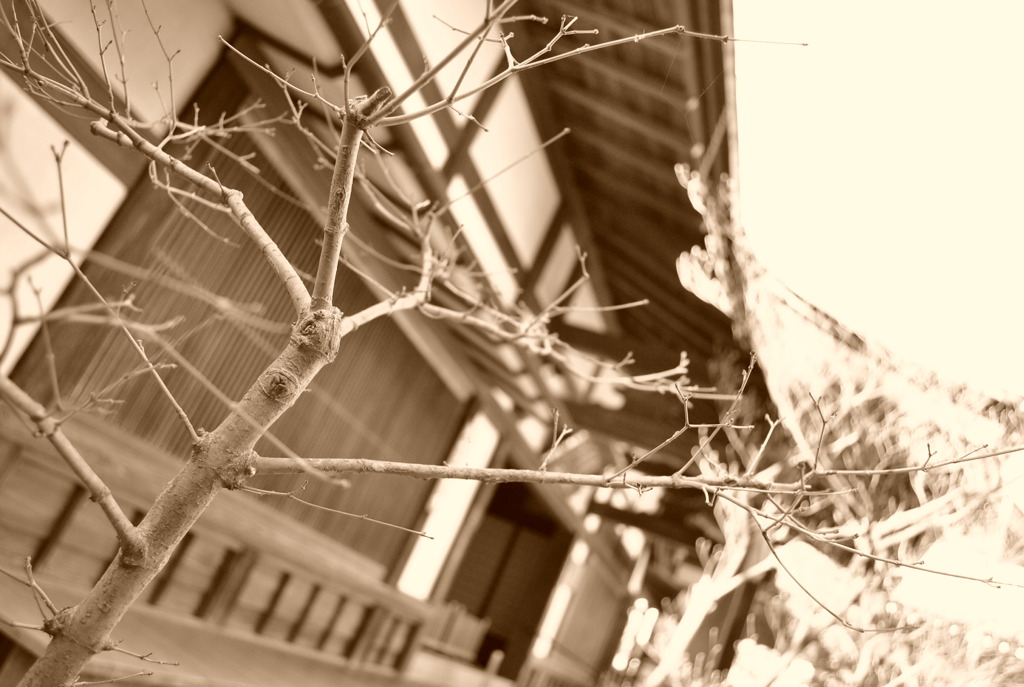 報国寺