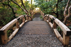 石橋を叩いて渡る・・・木だけどね