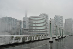 パシフィコ横浜より