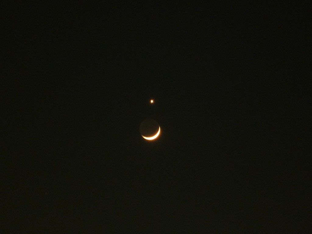 P1010101