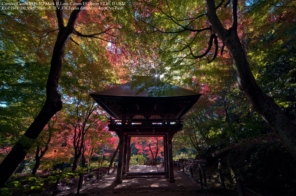Autumn temple gate☆